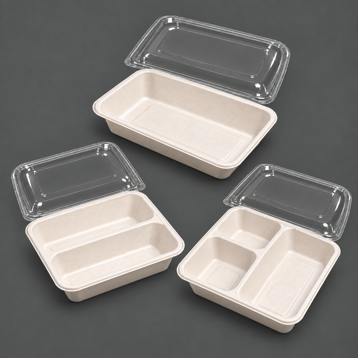 Bagasse Trays product range